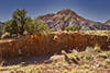 Landscape of Northern New Mexico